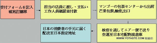 メガネババのマンゴーを購入する方法