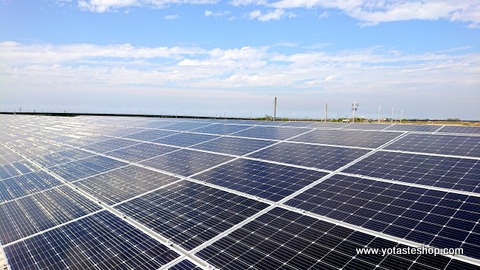 眼鏡伯跨足E.S.G.農業、漁電共生智慧水產養殖