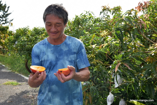 The best Taiwan mango to Japan