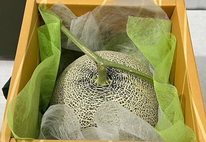 眼鏡伯阿露斯哈密瓜1入裝精美禮盒