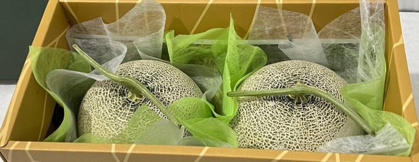 眼鏡伯阿露斯哈密瓜禮盒精美包裝