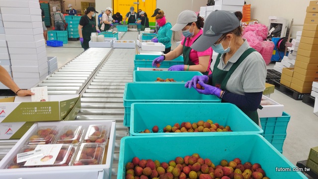 眼鏡伯玉荷包寄日本採最嚴格品管