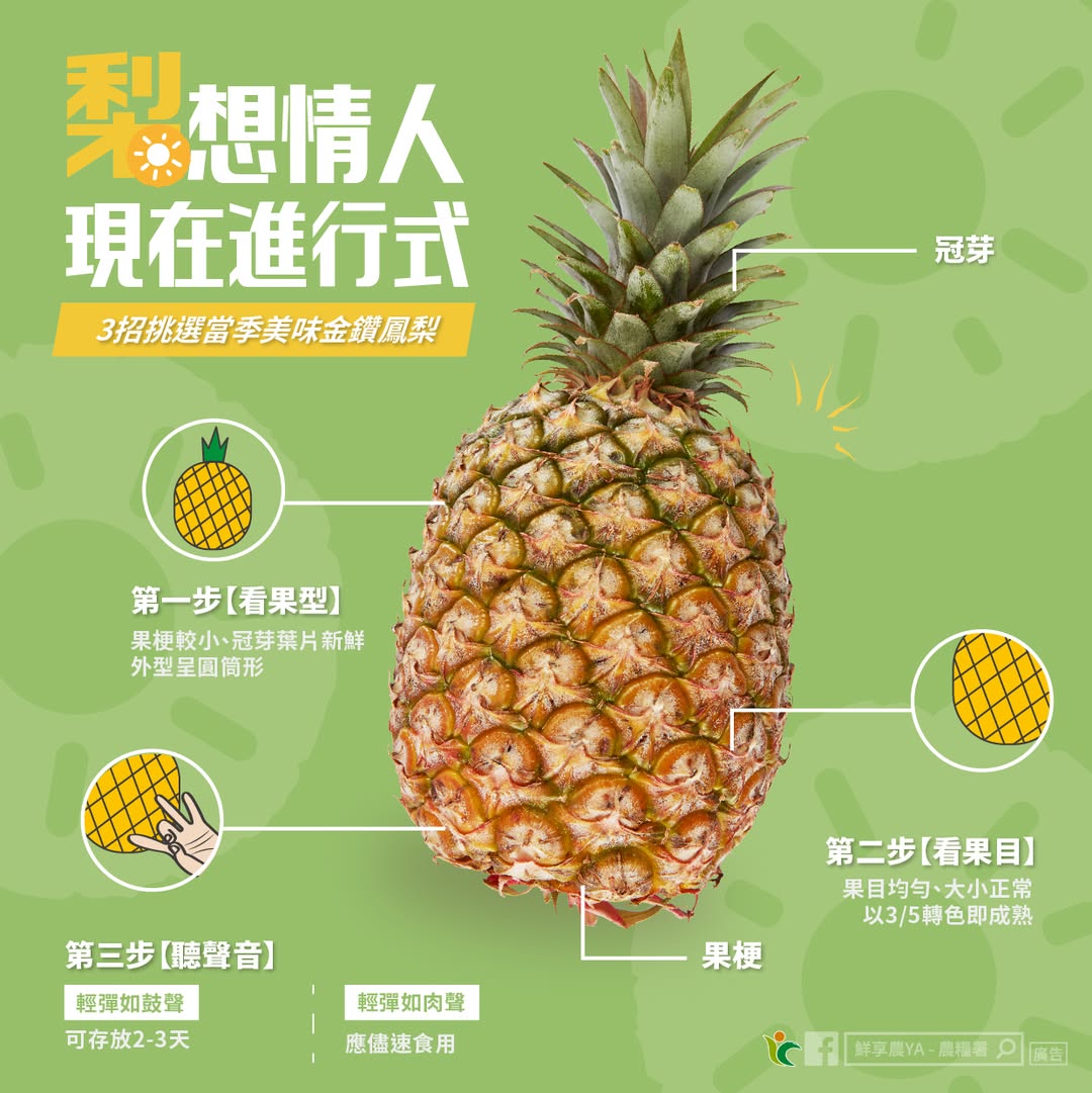 金鑽鳳梨如何挑選