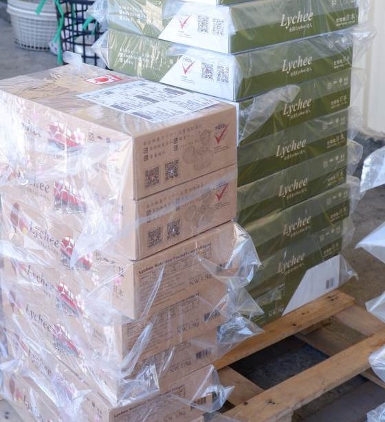 眼鏡伯愛文芒果玉荷包禮盒