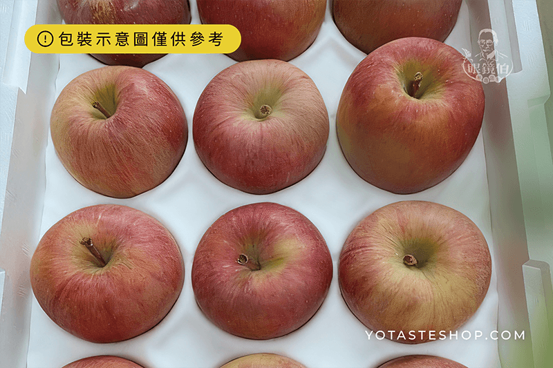 日本青森高德蜜蘋果原裝進口包裝，整齊排列於保護襯墊內，果皮紅黃漸層並帶天然果粉，精選禮盒高品質與出口專用包裝。